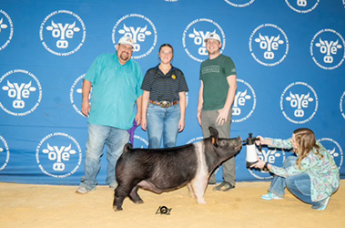 Upperhand Winners