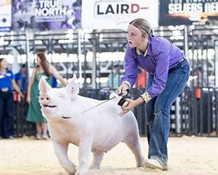 CHAMPION YORKSHIRE BRED & OWNED GILT
2026 EXPO