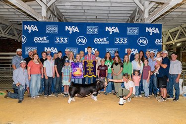 RESERVE GRAND CPS GILT &
CHAMPION BERKSHIRE
2026 EXPO