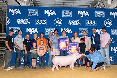 5TH OVERALL CPS GILT & CHAMPION CHESTER
2026 EXPO