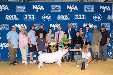 5TH OVERALL NSR GILT & RESERVE YORKSHIRE
2026 EXPO