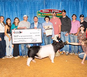 4th overall barrow 
2026 GA National Livestock Show