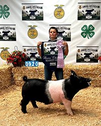 Reserve grand market hog
2026 Tillamook County-OR