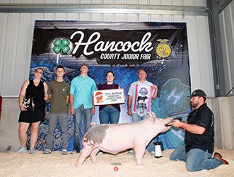 Reserve grand Barrow
2026 Hancock County-OH