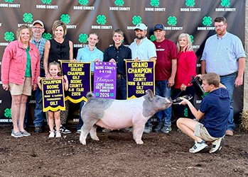 Reserve grand gilt
2026 Boone County-IN