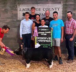 Reserve grand gilt
2026 Lagrange County-IN