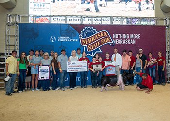 reserve grand 4-h market hog
2026 NE State Fair