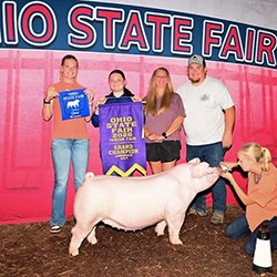 Champion landrace gilt
2026 OH State Fair