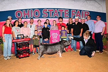 4th overall market gilt
2026 OH State Fai