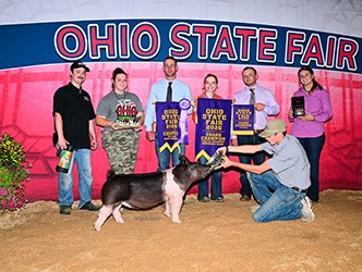 Grand champion prospect gilt & champion crossbred
2026 OH State Fair