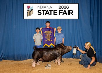 Reserve berkshire gilt
2026 IN State Fair