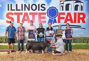 champion berkshire gilt
2026 IL State Fair