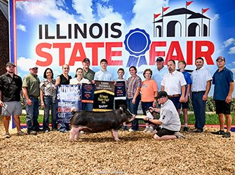 reserve berkshire gilt
2026 IL State Fair