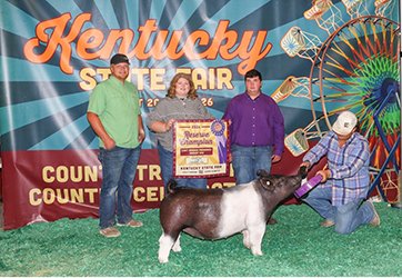 reserve champion lightweight crossbred
market hog
2026 KY State Fair
