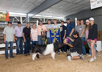 Reserve grand market hog
2026 WV State Fair