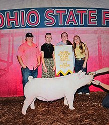 3rd overall chester gilt
2026 OH State Fair